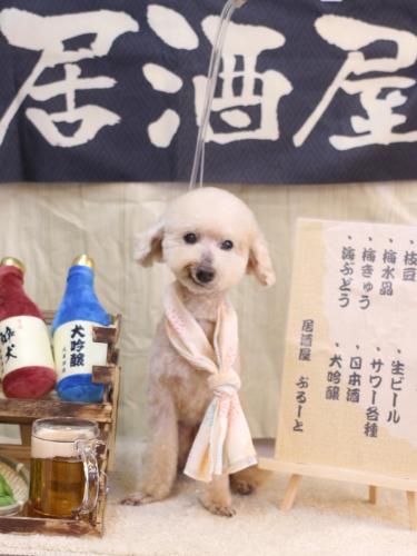 20240606あくびちゃん